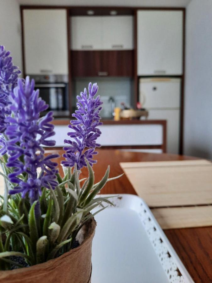 Apartman Kovaci Сараево Экстерьер фото